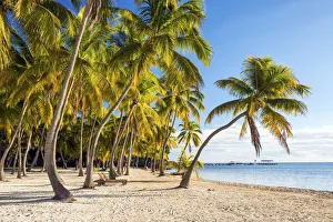 Tropical Beach, Islamorada, Florida Keys, USA