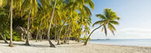 Relaxation Gallery: Tropical Beach, Islamorada, Florida Keys, USA
