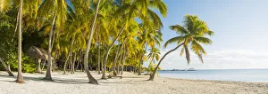 Americana Prints: Tropical Beach, Islamorada, Florida Keys, USA