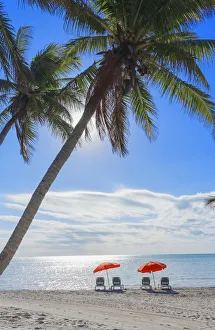 Absence Gallery: Tropical beach, Key West, Florida, USA