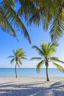 Tropical beach, Key West, Florida, USA