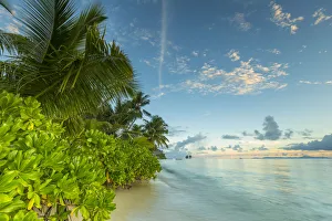 Images Dated 18th April 2016: Tropical beach on La Digue, Seychelles