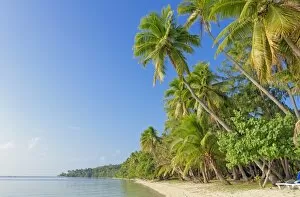 Pacific Islands Gallery: Tropical beach, Nanuya Lailai Island, Yasawa island group, Fiji, South Pacific islands