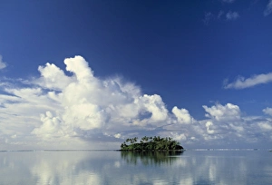Cook Islands Gallery: Tropical Island