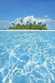 Tropical lagoon with palm island - Maldives, South Male Atoll