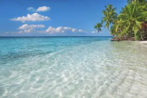 Maldives Gallery: Tropical lagoon with palms - Maldives, Nord Nilandhe Atoll, Filitheyo
