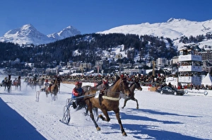 Speed Prints: A trotting race with jockeys driving horse-drawn sleighs