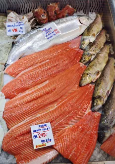 Norge Prints: Trouts in the fish market. Bergen. Norway