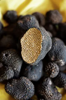 Epirus Prints: Truffles, Metsevo, Epirus, Greece