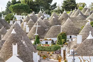Bari Prints: Trulli di Alberobello, houses with the typical conical stone roofs. Puglia, Italy