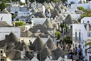 Images Dated 22nd January 2014: Trulli houses, Alberobello, Apulia, Italy