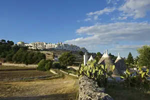 Locorotondo Prints: Trulli near Locorotondo, Valle Itra, Apulia, Italy