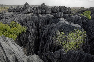 Madagascar Prints: Tsingy de Bemaraha Strict Nature Reserve, Madagascar