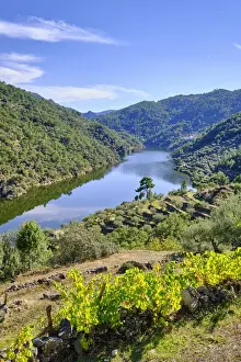 The Tua river at Amieiro in Autumn. Vale do Tua Regional Nature Park, Alijo. Tras os Montes, Portugal