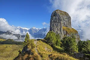 Images Dated 1st September 2021: Tuba mountain with Wetterhorn and Fiescherhorn, Schynige Platte, Grindelwald