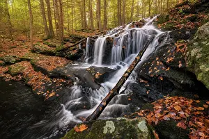 Watercourse Prints: Tucker Brook Falls in autumn, Milford, New Hampshire, USA