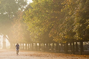 Paris Prints: Tuileries Gardens, Paris, France
