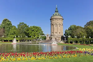 Tulips at Friedrichsplatz with water tower, Mannheim, Baden-Wurttemberg, Germany