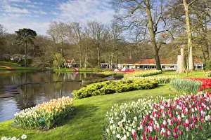 Tulips in Keukenhof Gardens, Lisse, Netherlands