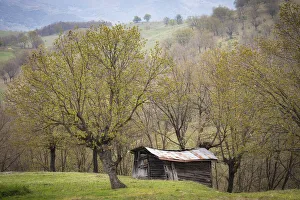 Tumbledown Prints: Tumbledown shepherds hut, Greece