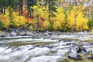 Images Dated 20th October 2017: Tumwater Canyon in Autumn, Wenatchee National Forest, Washington, USA