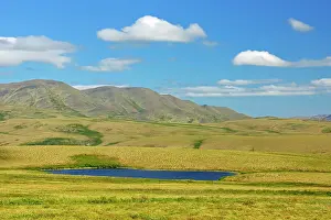 Northern Canada Prints: Tundra and Richardson Mountains on the Dempster Highway north of the Arctic Circle into NWT Dempster Highway