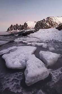 Tungeneset Prints: Tungeneset and the Okshornan Peaks during a winter sunrise, Senja Island, Norway