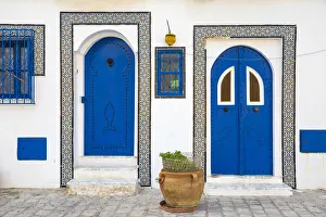 Plants Prints: Tunisia, Bizerte, Houses at the old port
