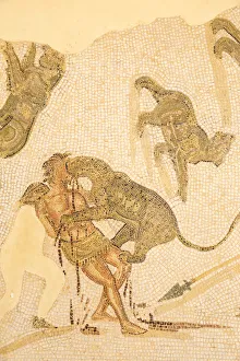 Tunisia, El Jem, Mosaics at Archaeology musuem