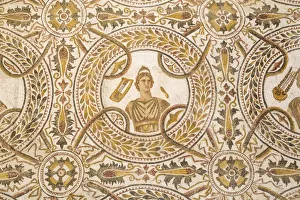 Tunisia, El Jem, Mosaics at Archaeology musuem