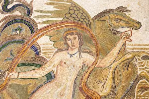 Tunisia, El Jem, Mosaics at Archaeology musuem