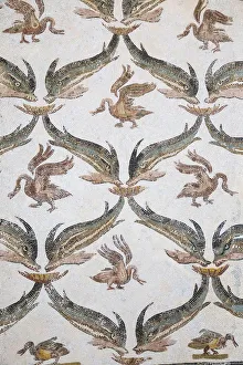 Tunisia, El Jem, Mosaics at Archaeology musuem