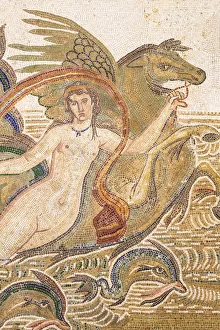 Tunisia, El Jem, Mosaics at Archaeology musuem