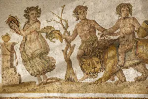 Tunisia, El Jem, Mosaics at Archaeology musuem