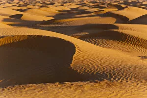 Images Dated 25th November 2010: Tunisia, Ksour Area, Ksar Ghilane, Grand Erg Oriental Desert, sand dunes