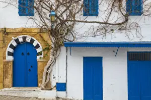 Tunisia, Main street in the Picturesque whitewashed village of Sidi Bou Said
