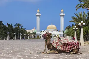 Tunisia, Monastir, Camel infront of Bourguiba mausoleum