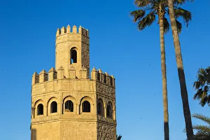 Watch Tower Prints: Tunisia, Monastir, Madina, Watch tower