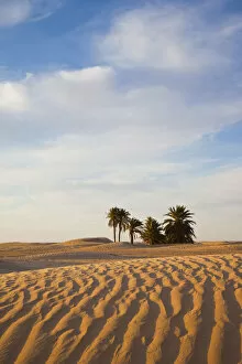 Images Dated 17th August 2011: Tunisia, Sahara Desert, Douz, Great Dune