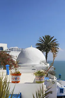 Plant Pot Prints: Tunisia, Sidi Bou Said, Cafe des Delices, also called Cafe Sidi Chabaane