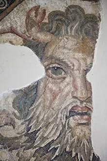 Images Dated 25th November 2010: Tunisia, Tunis, Bardo Museum, Roman-era mosaics