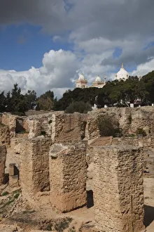 Tunisia, Tunis, Carthage, Byrsa Hill, Roman-era ruins