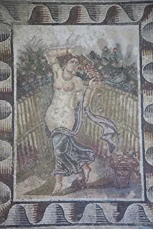 Tunisia, Tunis, Carthage, Byrsa Hill, Musee de Carthage, Roman-era mosaic detail