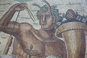 Images Dated 25th November 2010: Tunisia, Tunis, Carthage, Byrsa Hill, Musee de Carthage, Roman-era mosaic detail