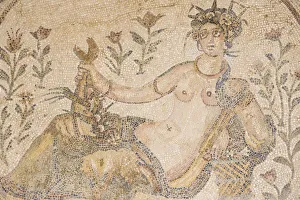 Punic Prints: Tunisia, Tunis, Carthage, Byrsa Hill, Mosaics