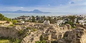 Punic Prints: Tunisia, Tunis, Carthage, Byrsa Hill, Punic Ruins