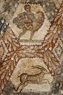 Tunisia, Tunis, Carthage, Roman-era Villa mosaiques