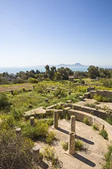 Tunisia, Tunis, Carthage, Roman Villas