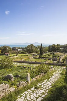 Punic Prints: Tunisia, Tunis, Carthage, Roman Villas