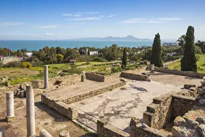 Tunisia, Tunis, Carthage, Roman Villas